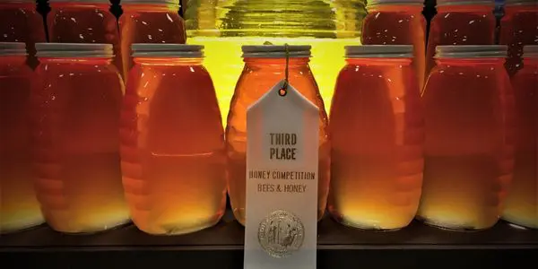 A close up of jars with honey in them