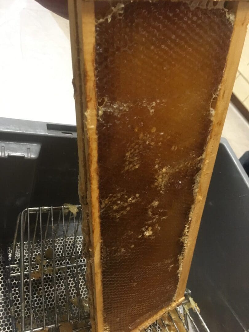 A close up of the inside of a beehive