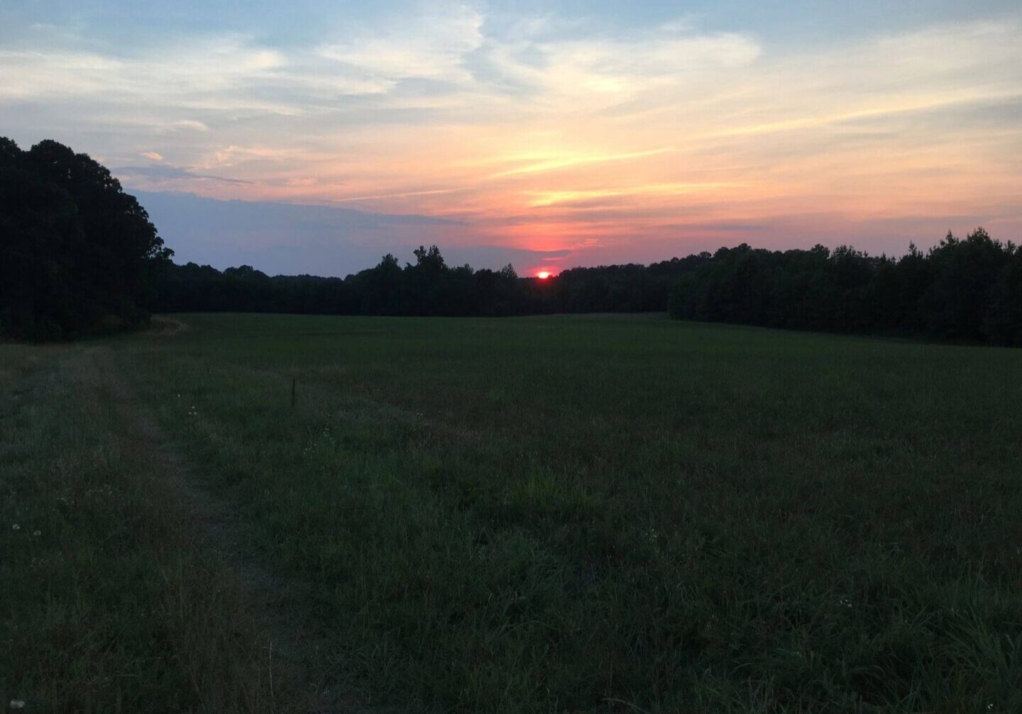 A field with trees and the sun setting in the background.